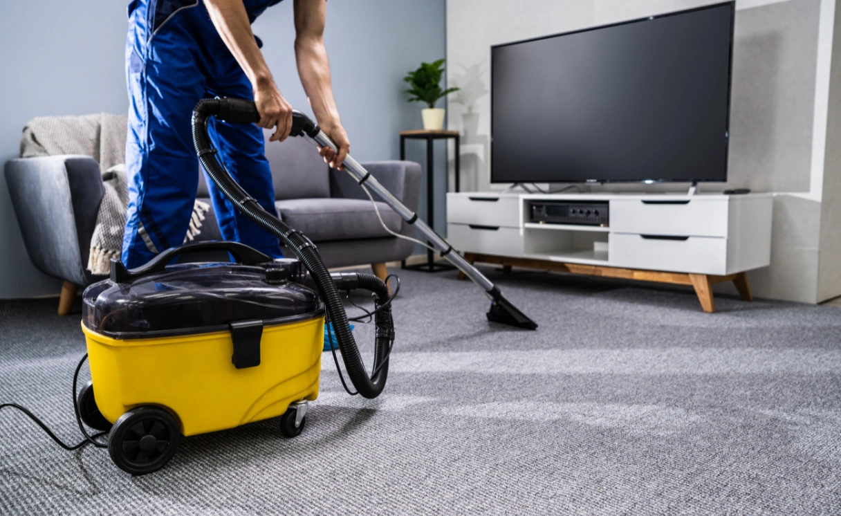 Extract Mattress Cleaning Crib Point Contact Office
